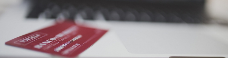 Intégration des cartes Visa dans un système de gestion de crédits existant